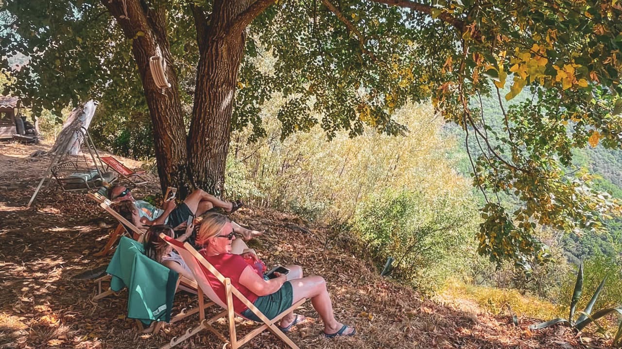 Groupe de voyageurs détendus sous un arbre, profitant de la vue des Cévennes.