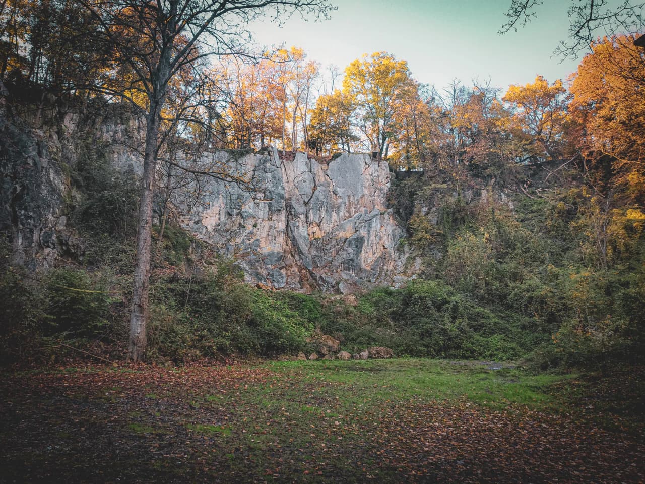Un paysage naturel avec une paroi rocheuse escarpée surplombant un terrain verdoyant. Les couleurs d'automne se révèlent à travers les arbres aux feuilles dorées, tandis que le sol est parsemé de feuilles tomb