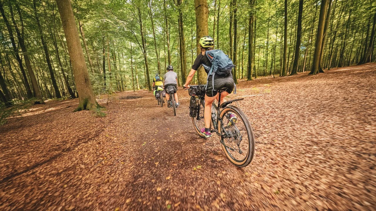 Three cyclists explore an Ardennes forest, surrounded by greenery and golden leaves.