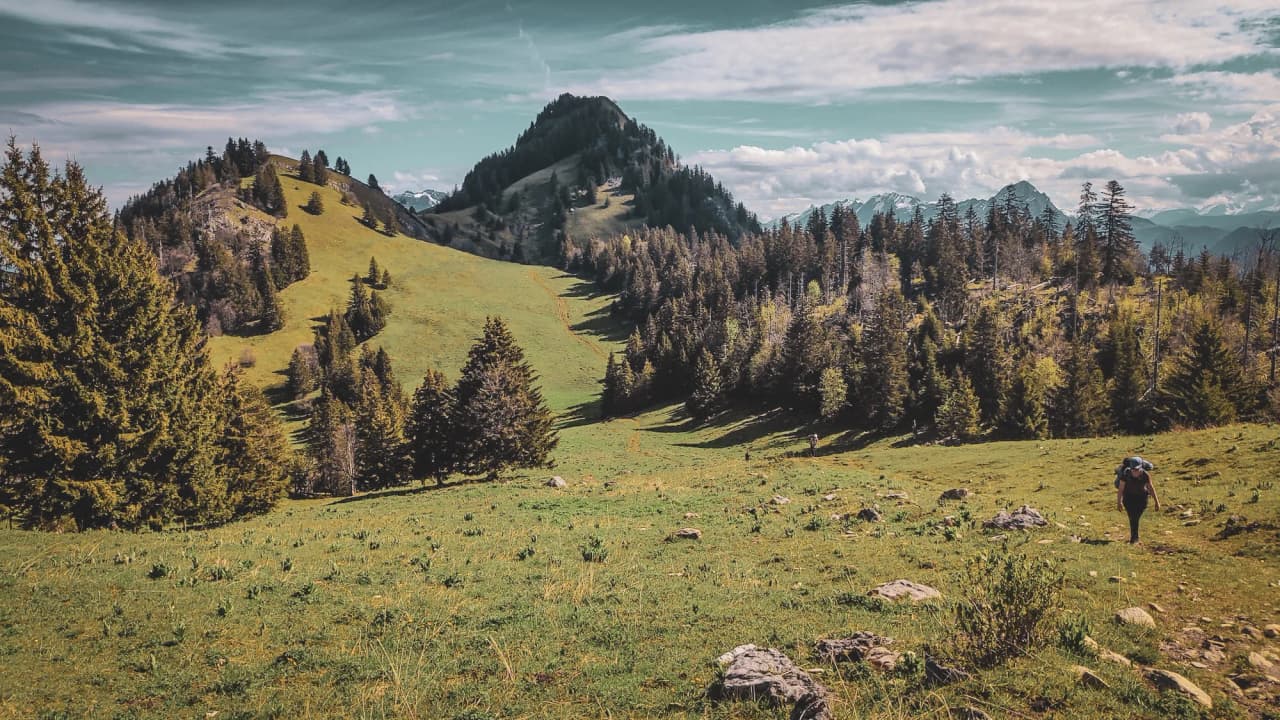 A vast green meadow surrounded by forests, with a majestic peak in the background.