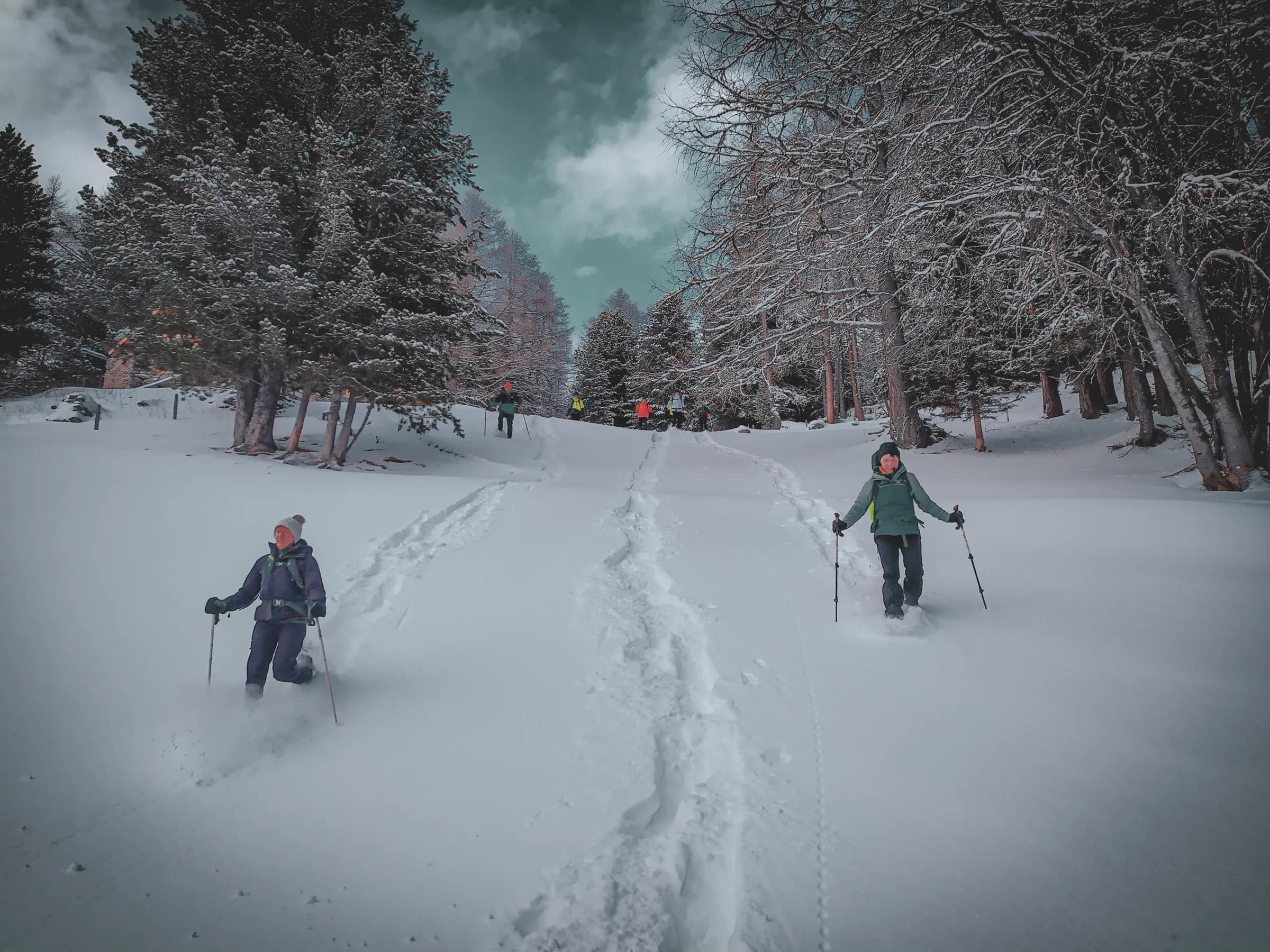 A snowy landscape with people hiking in the snow. Two hikers in the foreground are using walking poles, one wearing a purple jacket and hat, the other a white jacket.