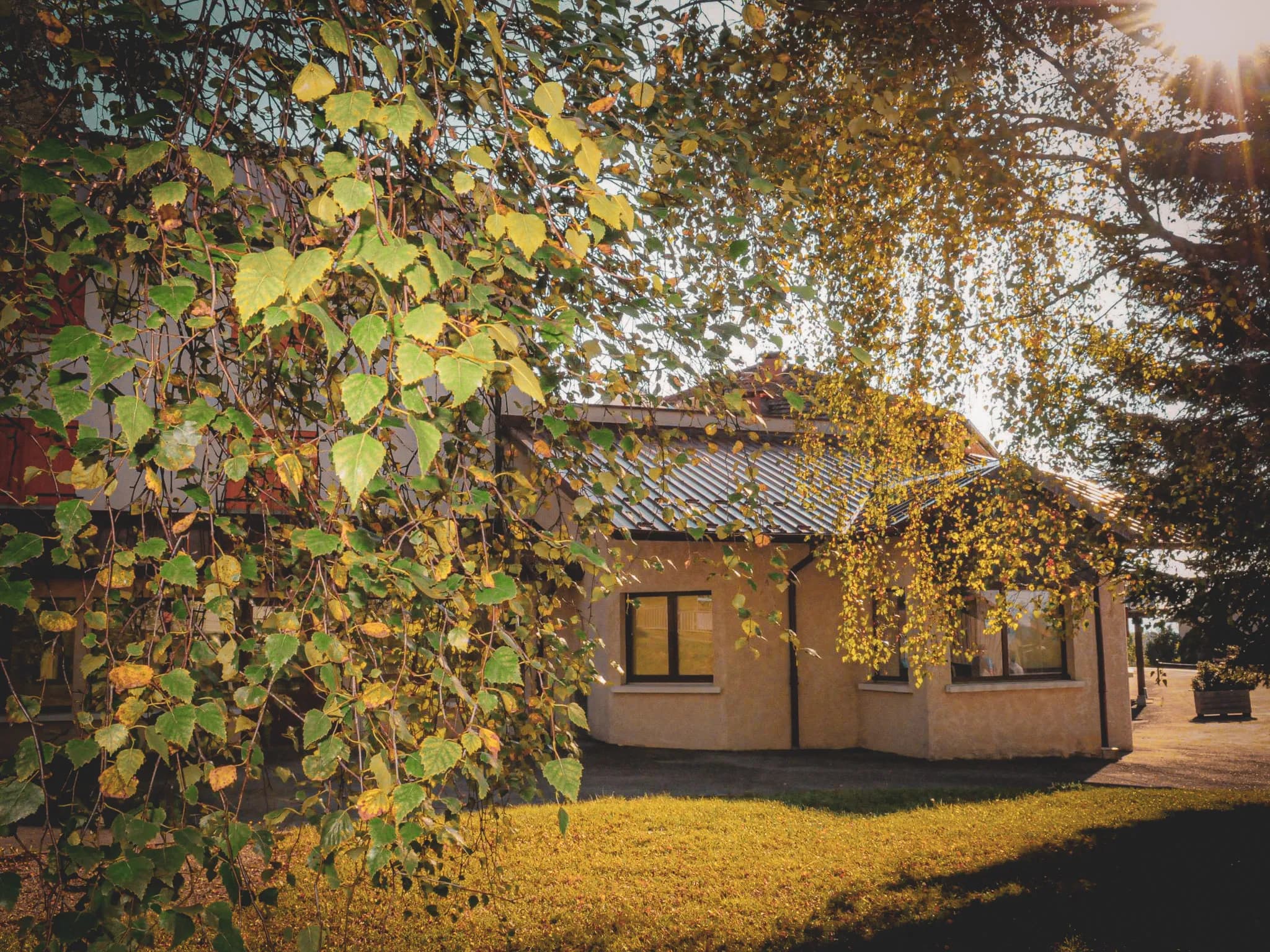 A building with light-coloured walls, surrounded by greenery and autumn leaves, is illuminated by rays of sunlight. The light creates a warm atmosphere, while branches of foliage stretch across the front of the building.