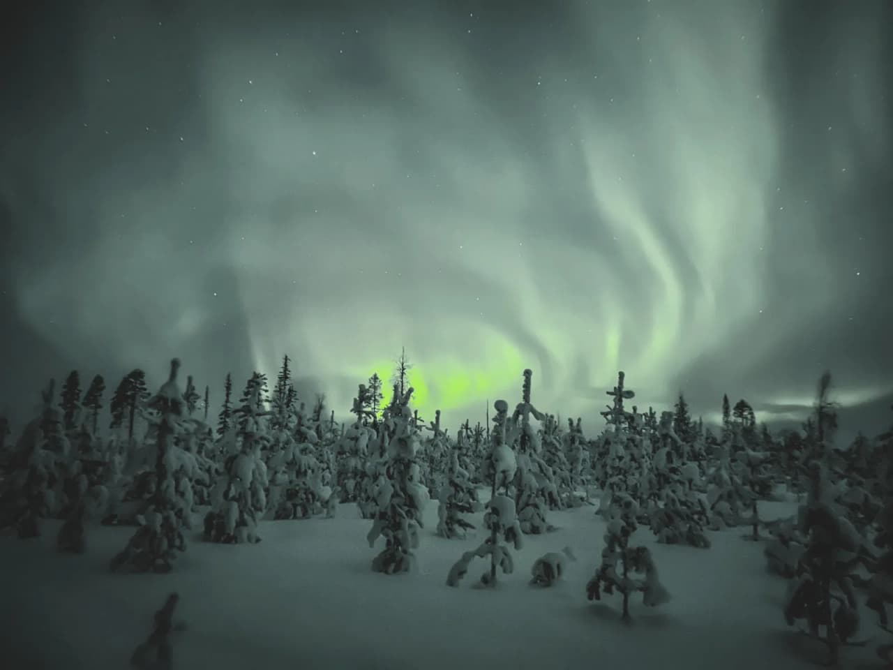Un paysage enneigé sous les aurores boréales, illuminant la Laponie magique.