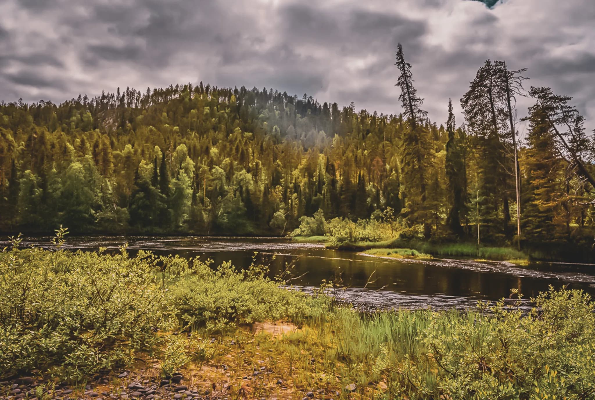 A serene natural landscape with a tranquil stretch of water surrounded by lush green woods. Hills covered with majestic trees, interspersed with conifers and deciduous trees, rise up to the horizon.