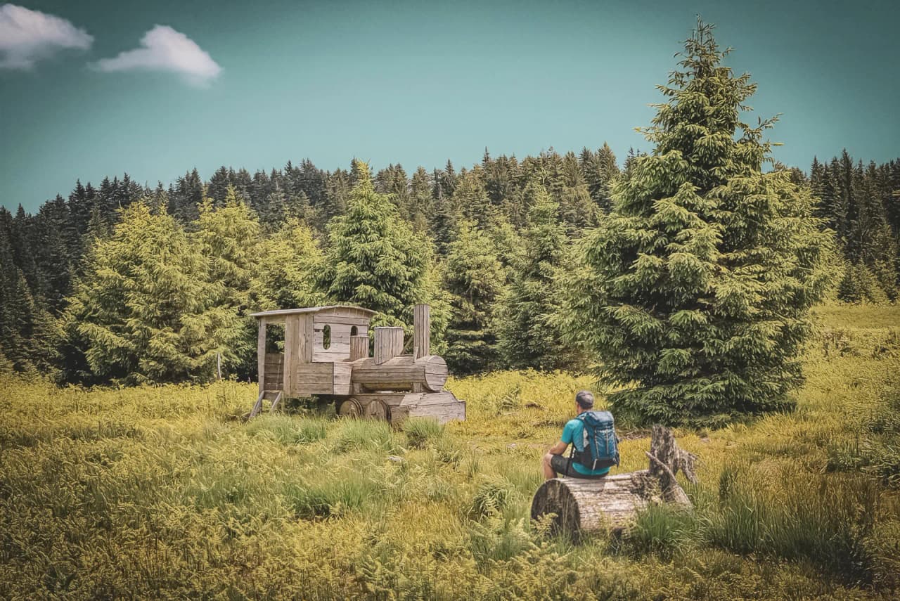 Un randonneur contemplant une ancienne locomotive en bois, entouré de verdure dans les Vosges.