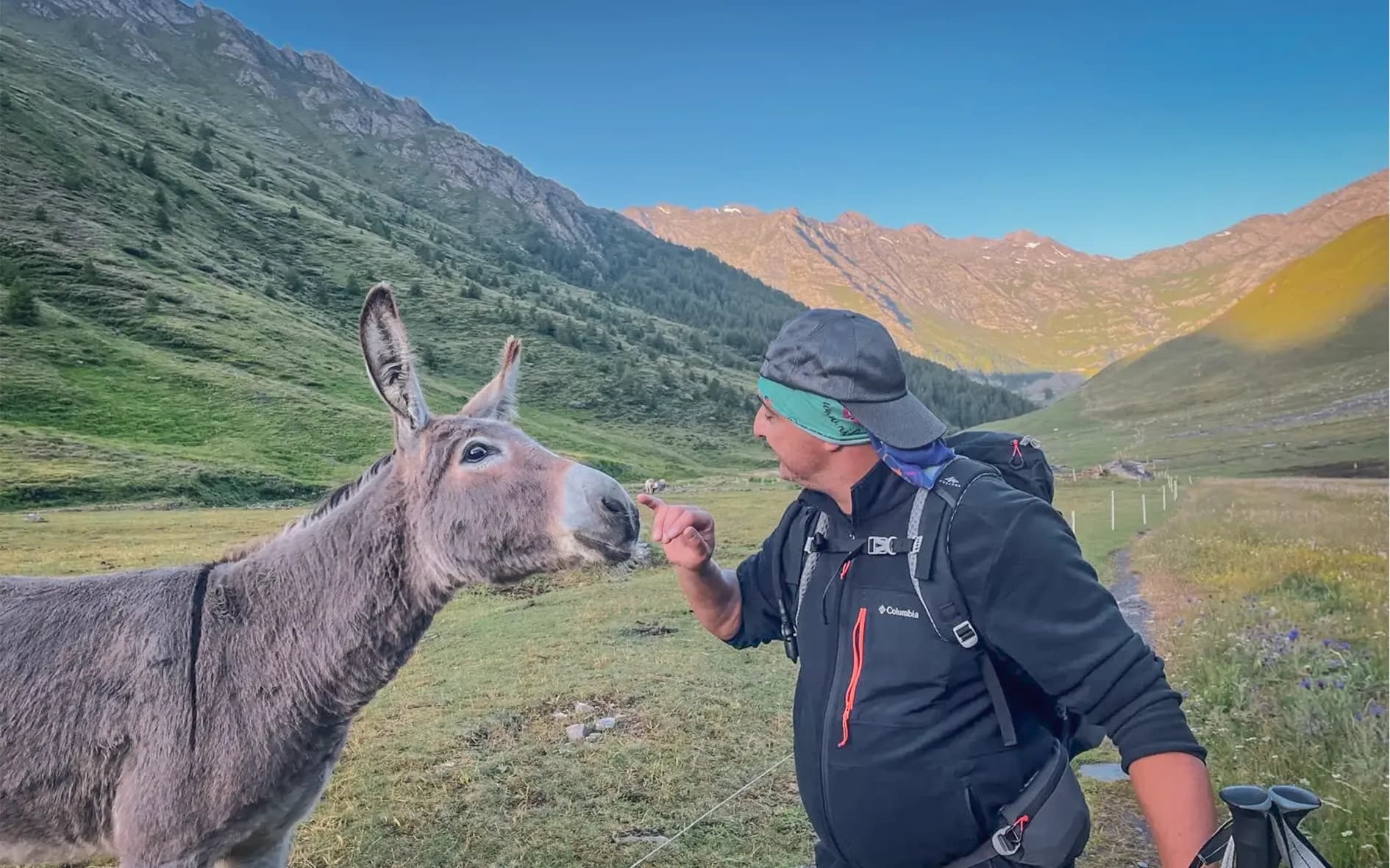 A smiling hiker feeds a donkey, with the green mountains in the background.