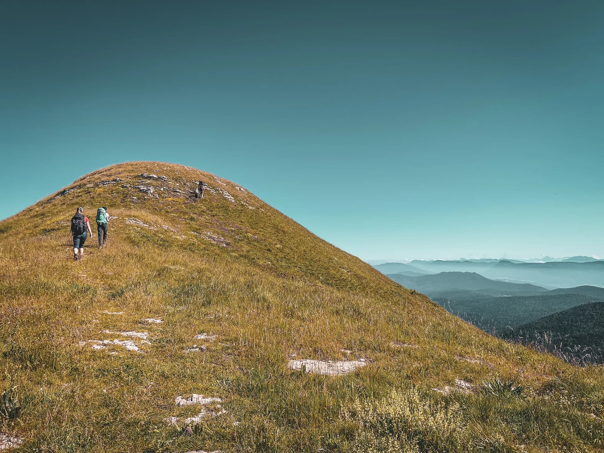 A group of walkers are climbing a green hill, surrounded by tall grass meadows. The sky is a brilliant blue, with no clouds, and on the horizon, the mountains...