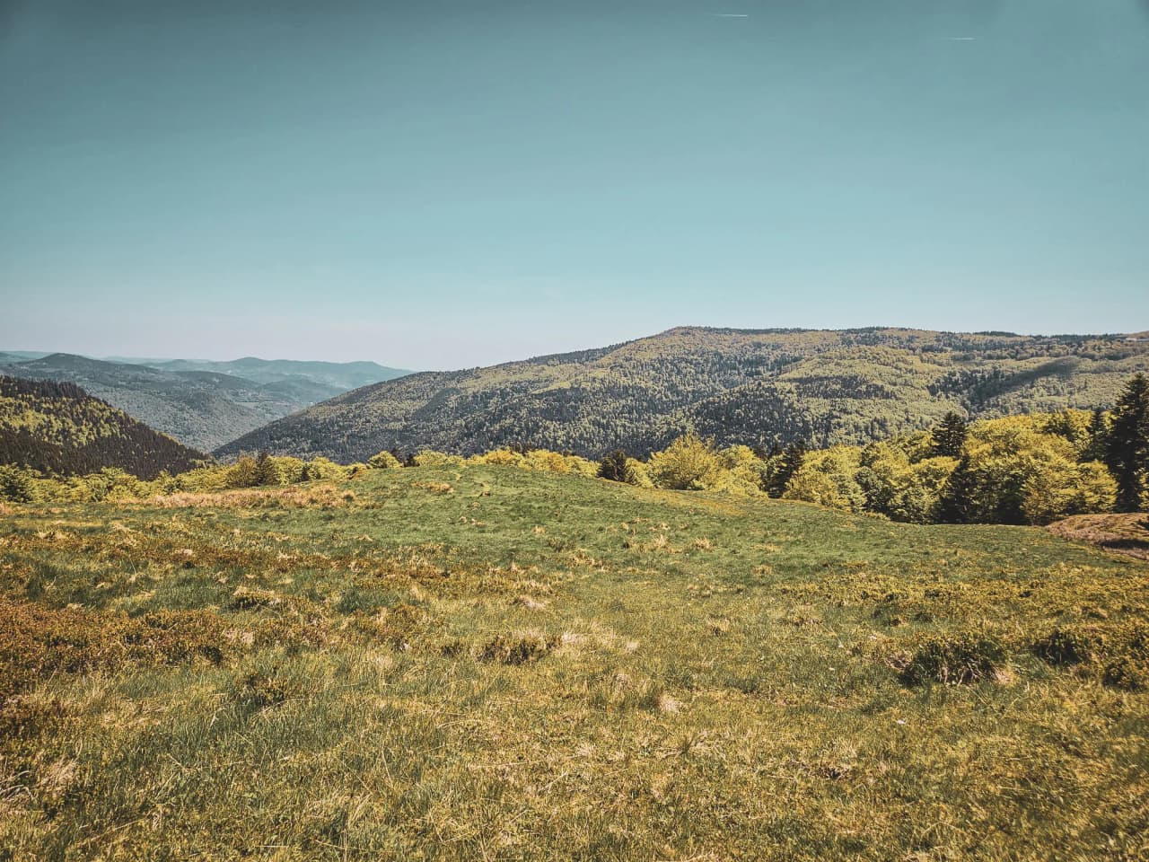 Panorama verdoyant des Vosges, entre collines douces et ciel bleu éclatant. Un appel à l'aventure !