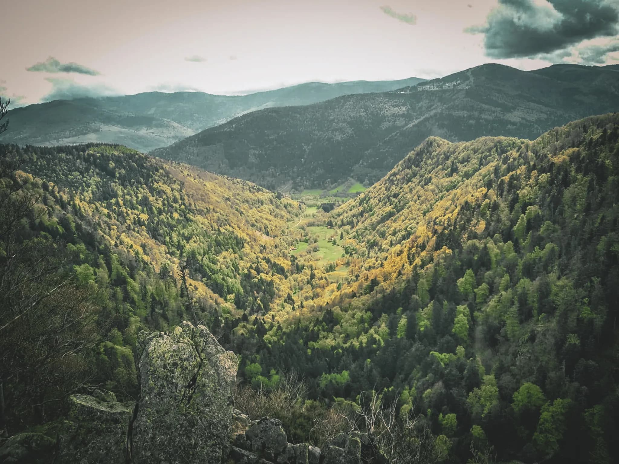A panoramic view of the Vosges, with lush green valleys and majestic mountains.