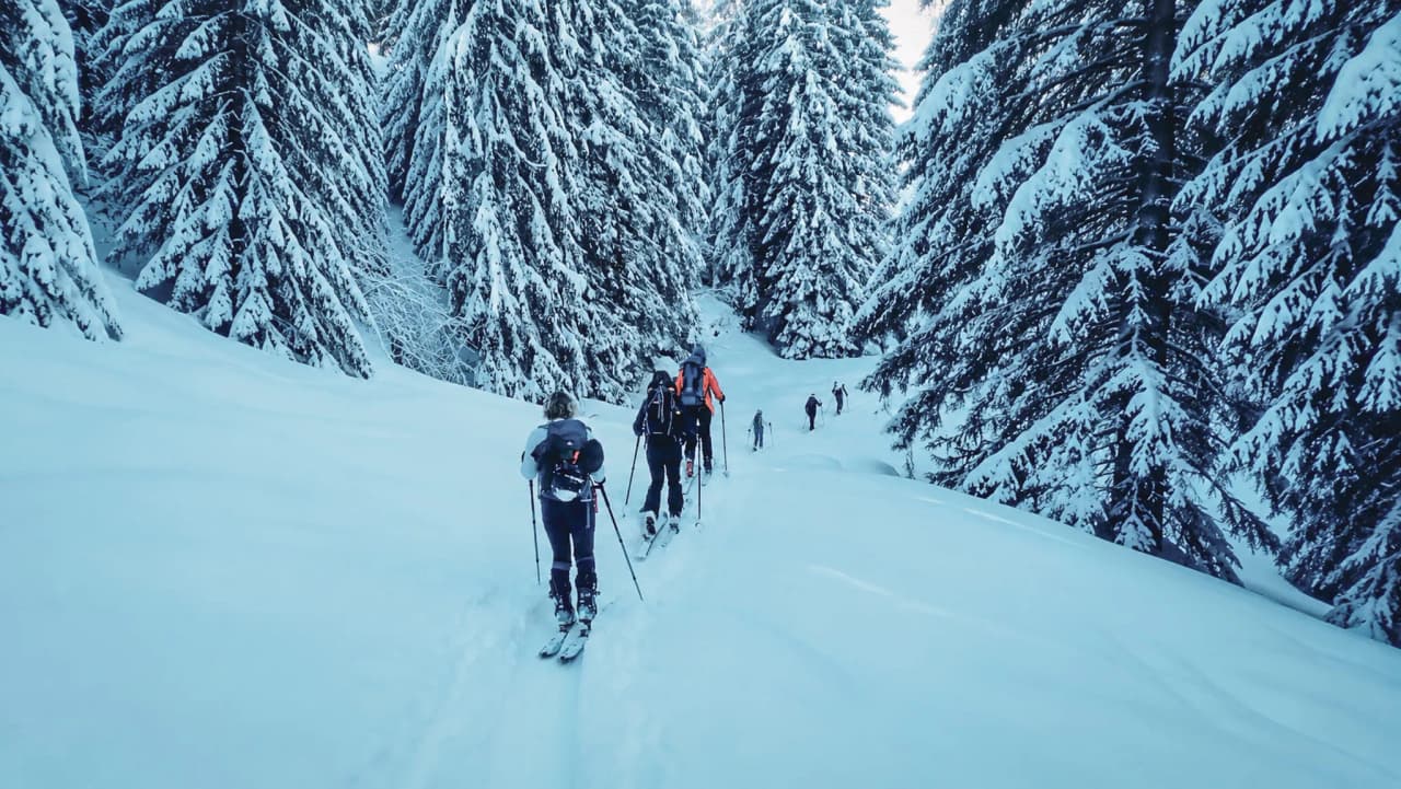 Ski tourers in a snow-covered landscape, surrounded by majestic fir trees – a winter adventure.