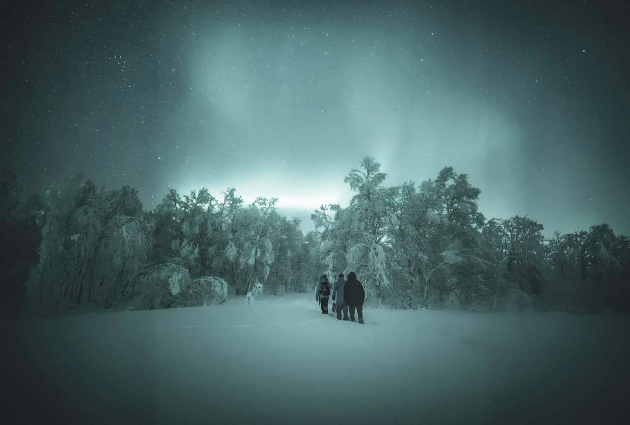 A group of explorers walking through a magical landscape under a starry sky and snow-covered trees.