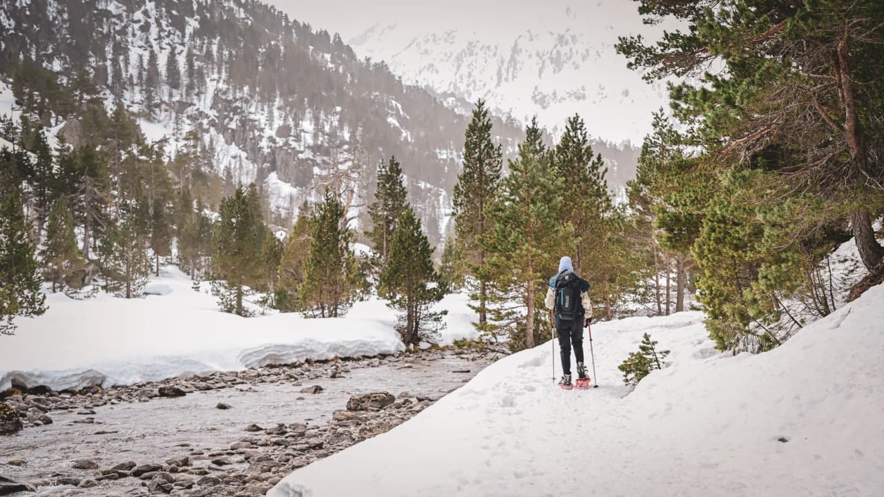 A solitary hiker progresses on snowshoes, surrounded by immaculate landscapes and verdant forests.