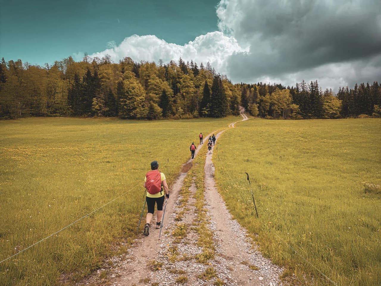 A group of hikers on a picturesque path surrounded by greenery in the Jura.