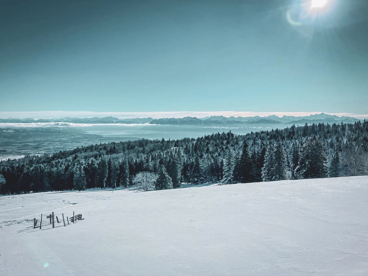 Paysage enneigé du Jura, forêts verdoyantes et montagnes majestueuses sous un ciel lumineux.