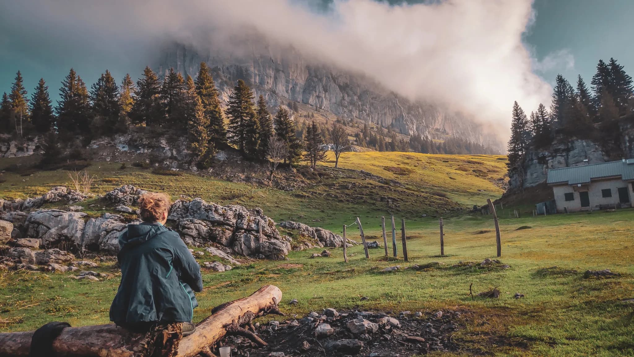 Un paysage naturel majestueux avec une personne assise sur un tronc d'arbre, contemplant un large espace verdoyant. À l'arrière-plan, une montagne imposante est partiellement couverte de nuages, tandis qu'une forêt de