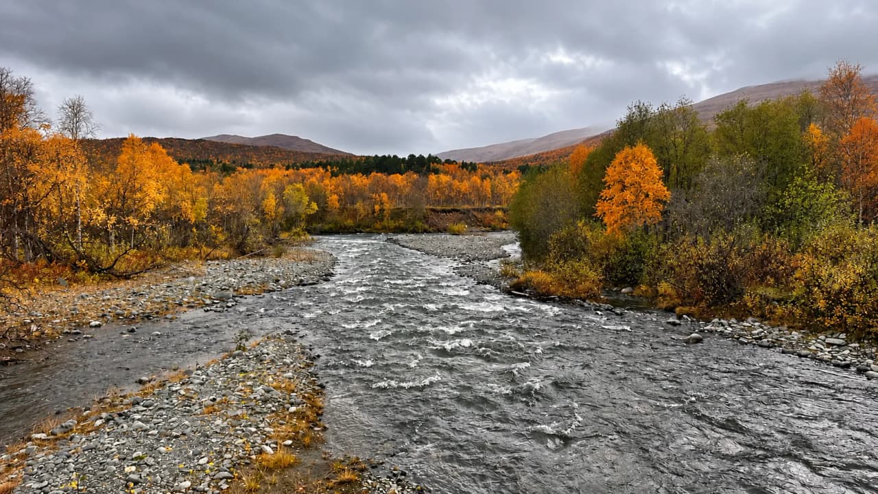 Rivière sinueuse entourée de forêts d'automne flamboyantes sous un ciel nuageux.