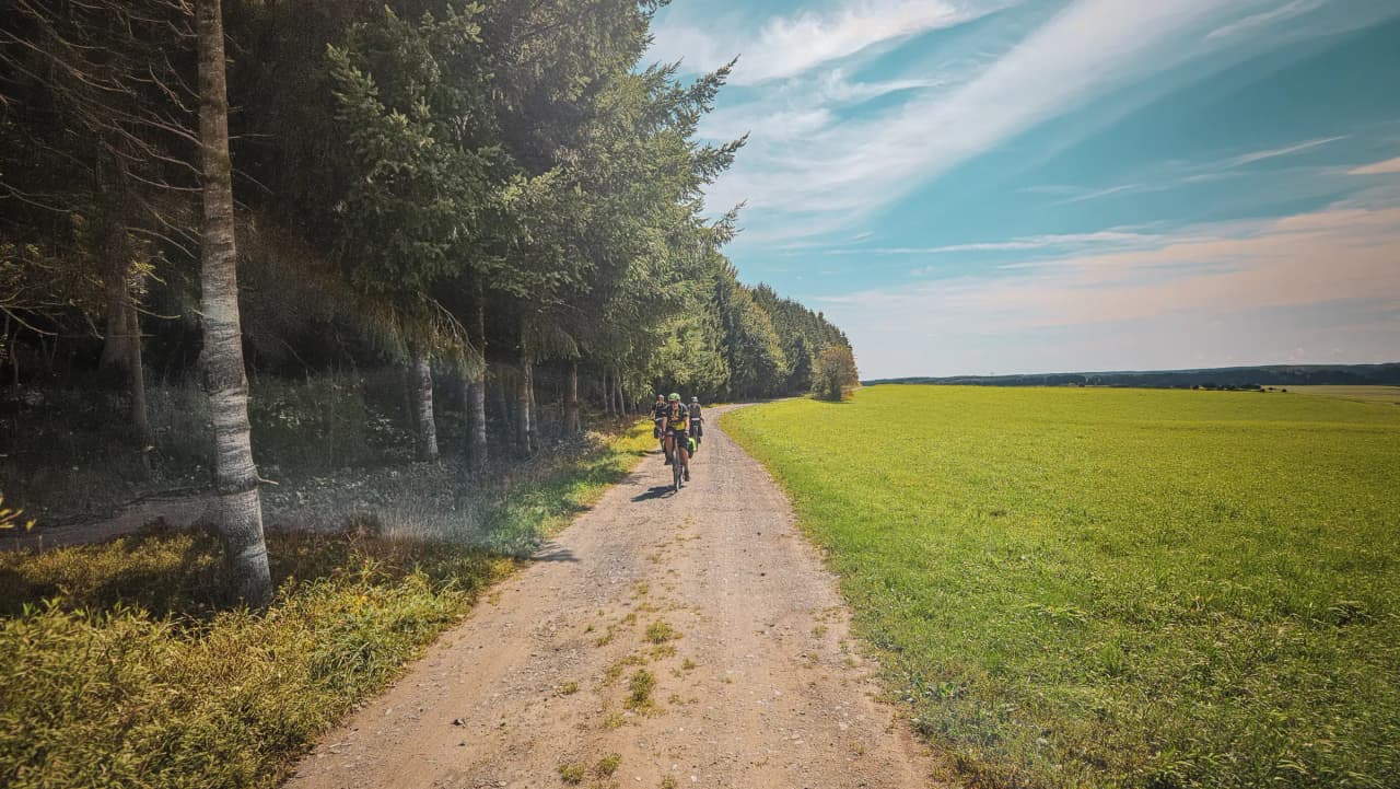 Cyclists on a dirt track bordered by lush green forests, under a brilliant blue sky. A nature adventure!