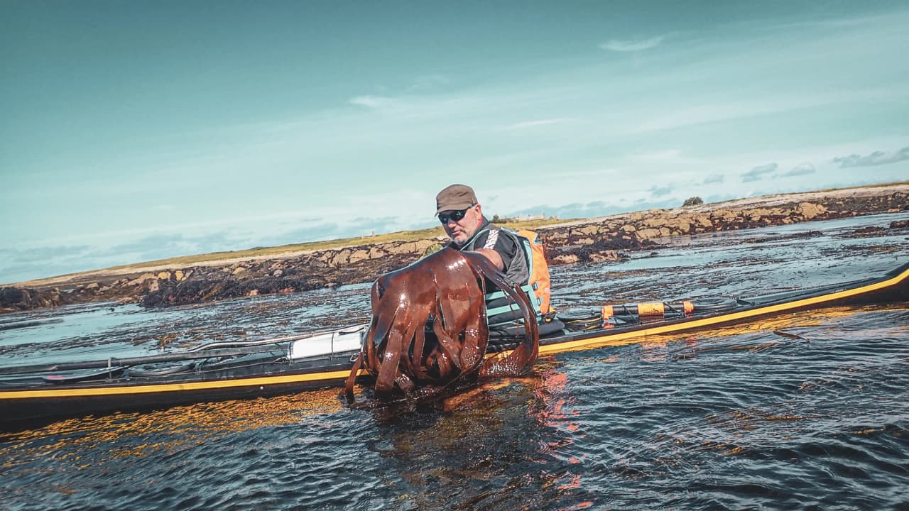 A kayaker holding a large octopus, surrounded by the peaceful waters of the Molène archipelago.