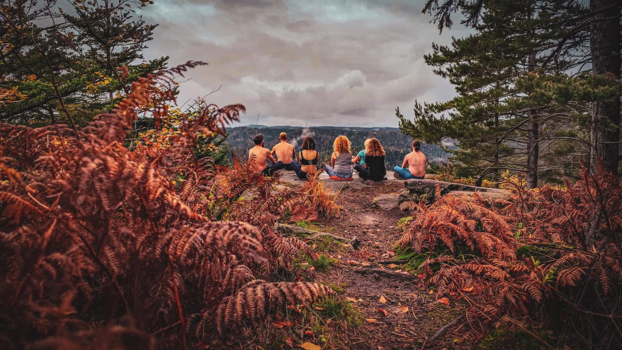 A group of people meditate in front of a green valley, surrounded by colourful ferns.