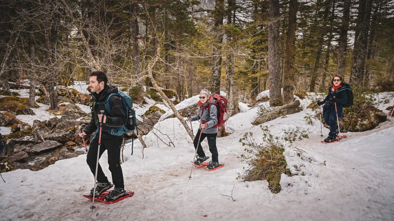 Snowshoe trekkers explore the snow-covered Pyrenees, surrounded by majestic forests.