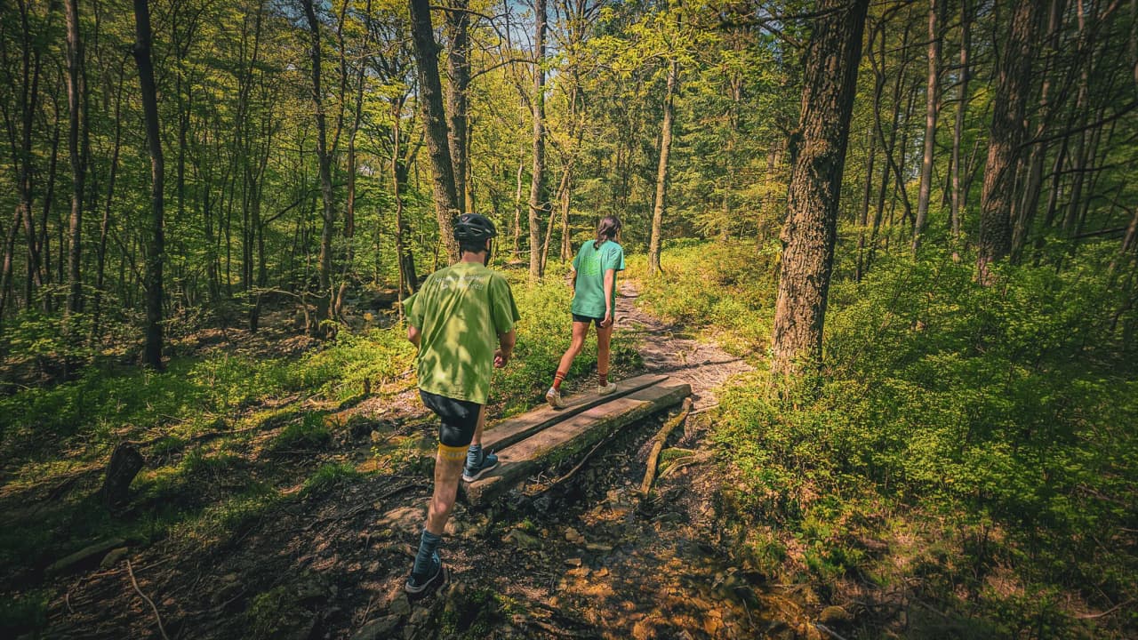 Wandelen in het hart van de natuur, avonturiers op een bebost pad, de frisse lucht van de Hoge Venen inademen.
