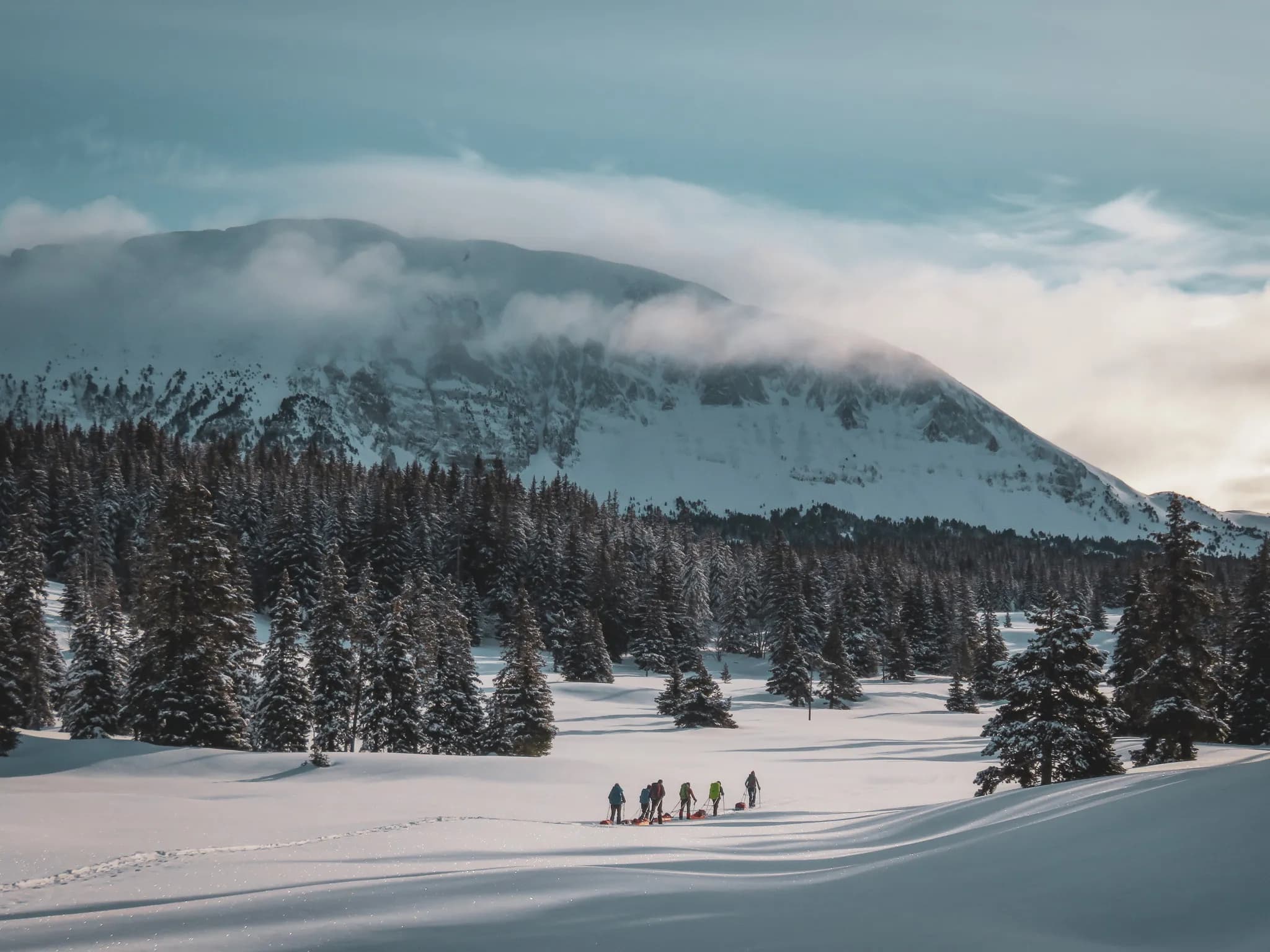 Een groep wandelaars op sneeuwschoenen in een besneeuwd Vercors-landschap, met majestueuze bergen op de achtergrond.