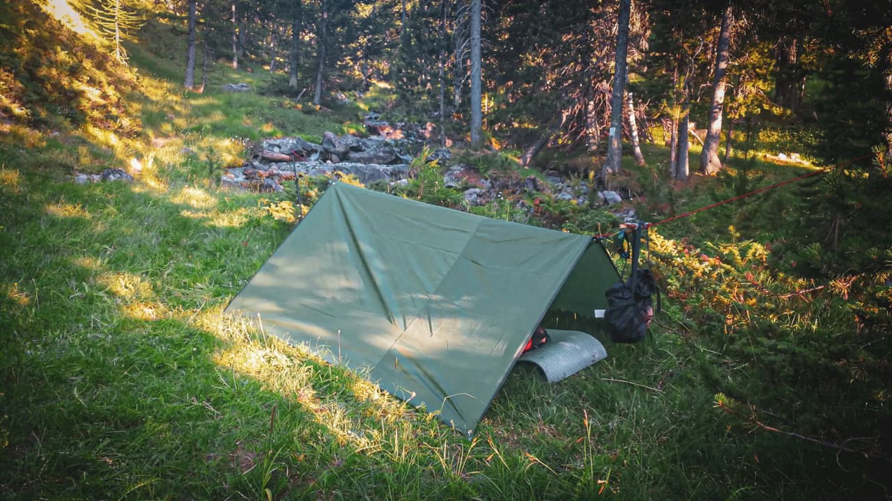 Tente verte installée sur un sol verdoyant, entourée de forêts ensoleillées, invitant à l'aventure.