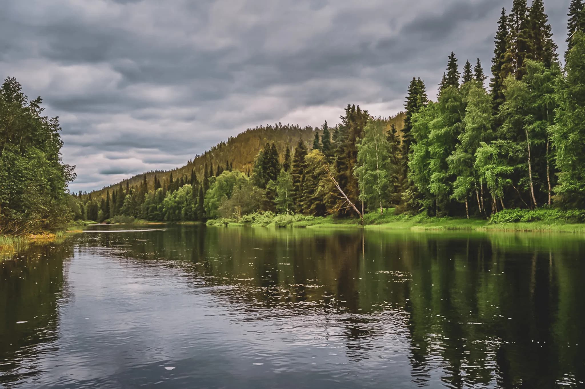 A peaceful natural landscape with a calm river surrounded by lush green woods. A variety of trees, from coniferous to deciduous, stand on the banks, while wooded hills rise up from the river.