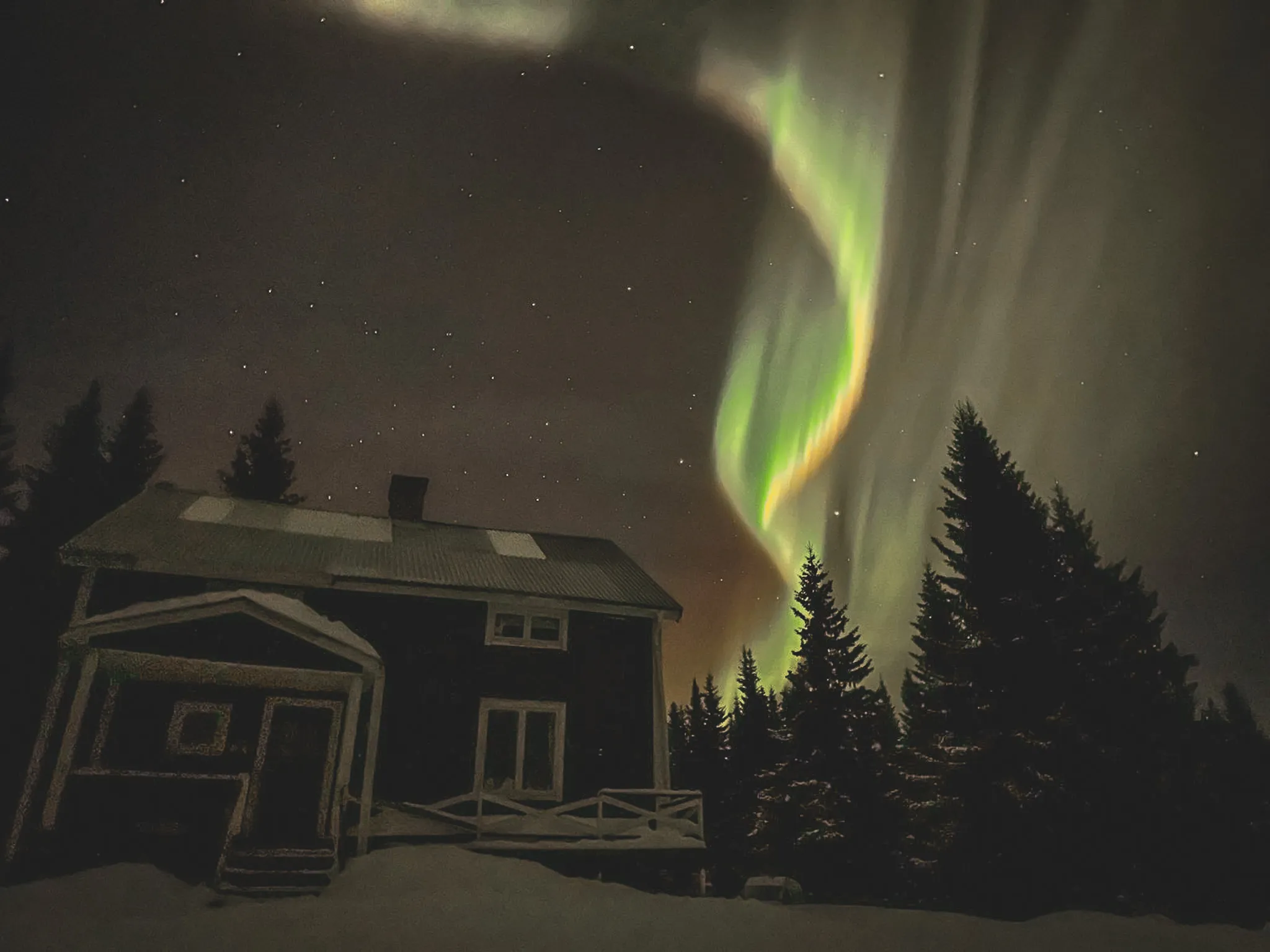 Houten hut onder een stralende hemel, omringd door dennenbomen en sneeuw, een sprookjesachtige sfeer in Lapland.