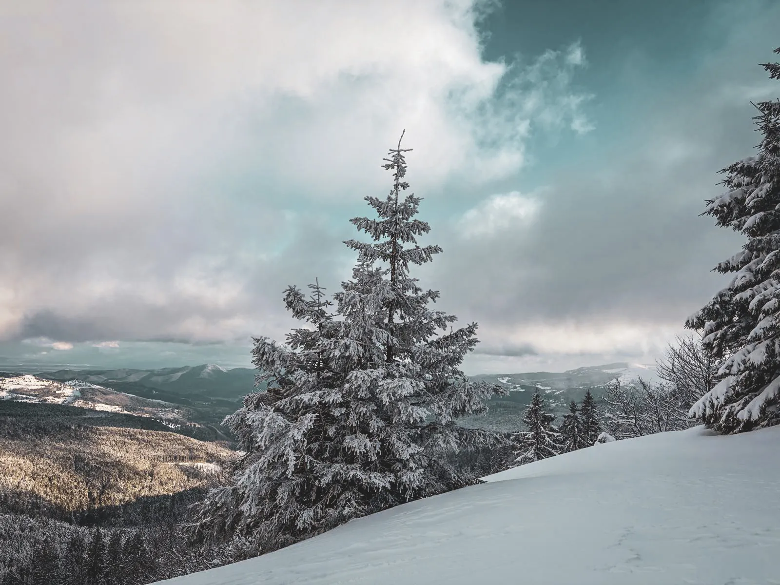 Un paysage enneigé des Vosges, arbres recouverts de neige, ciel nuageux, appel à l'évasion.