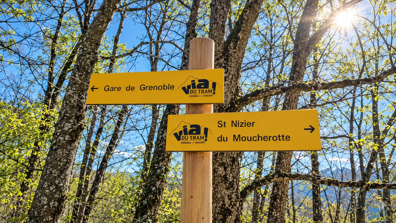 Panneau de randonnée dans une forêt ensoleillée, indiquant les directions vers Grenoble et St Nizier.