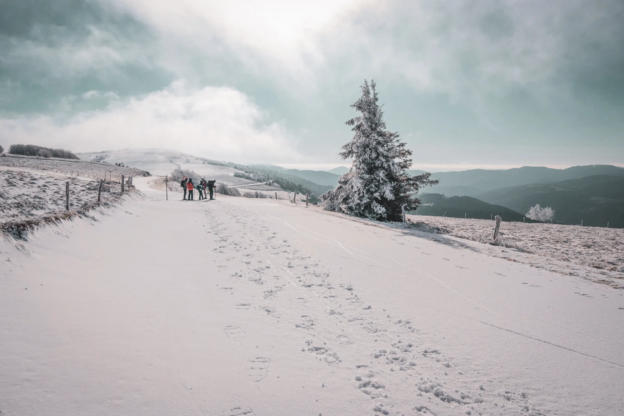 Randonnée en raquettes sur la grande crête des Vosges, paysage enneigé et aventure en plein air.
