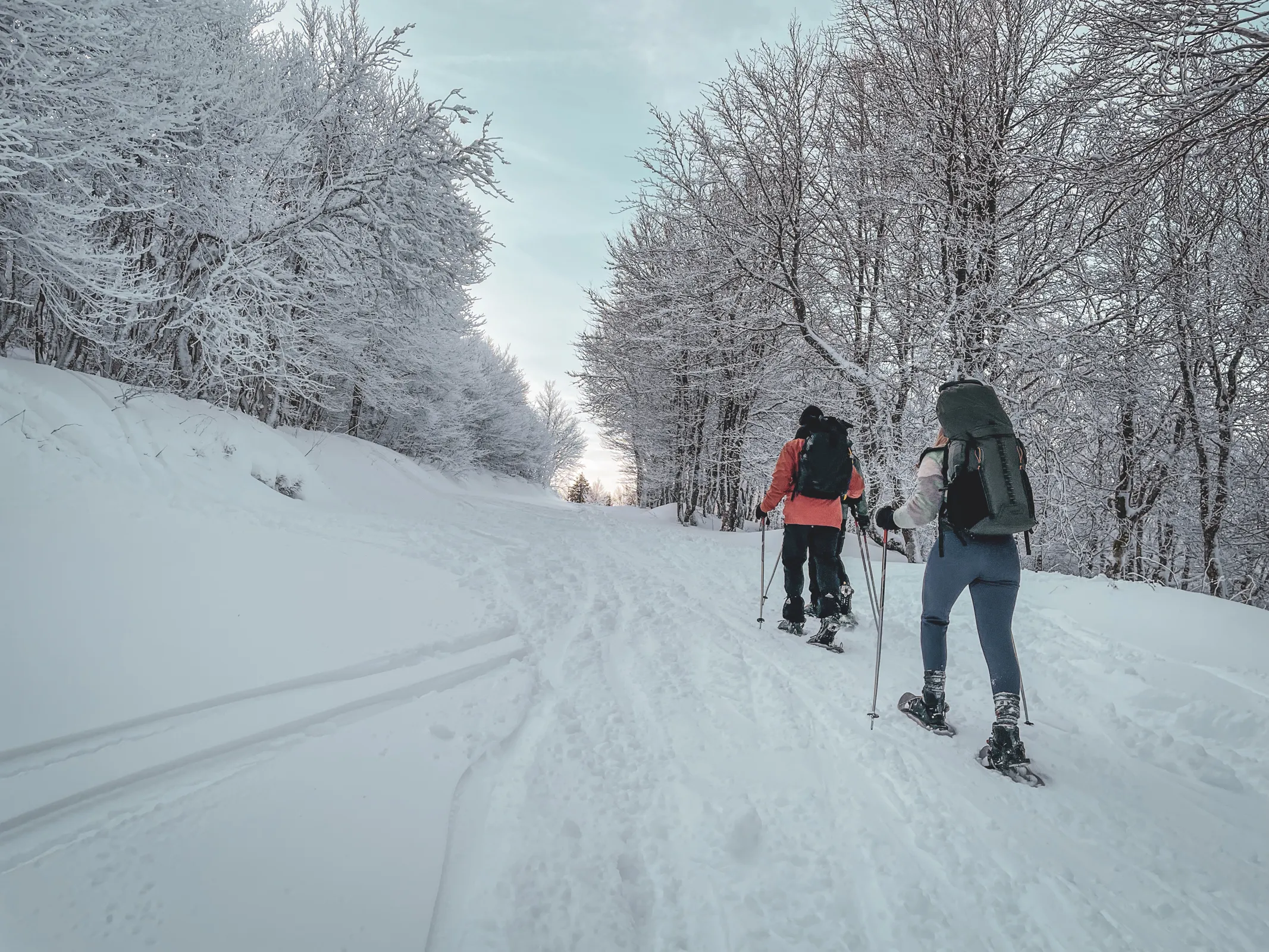 Randonneurs en raquettes évoluant dans un paysage hivernal féerique, entourés d'arbres enneigés.