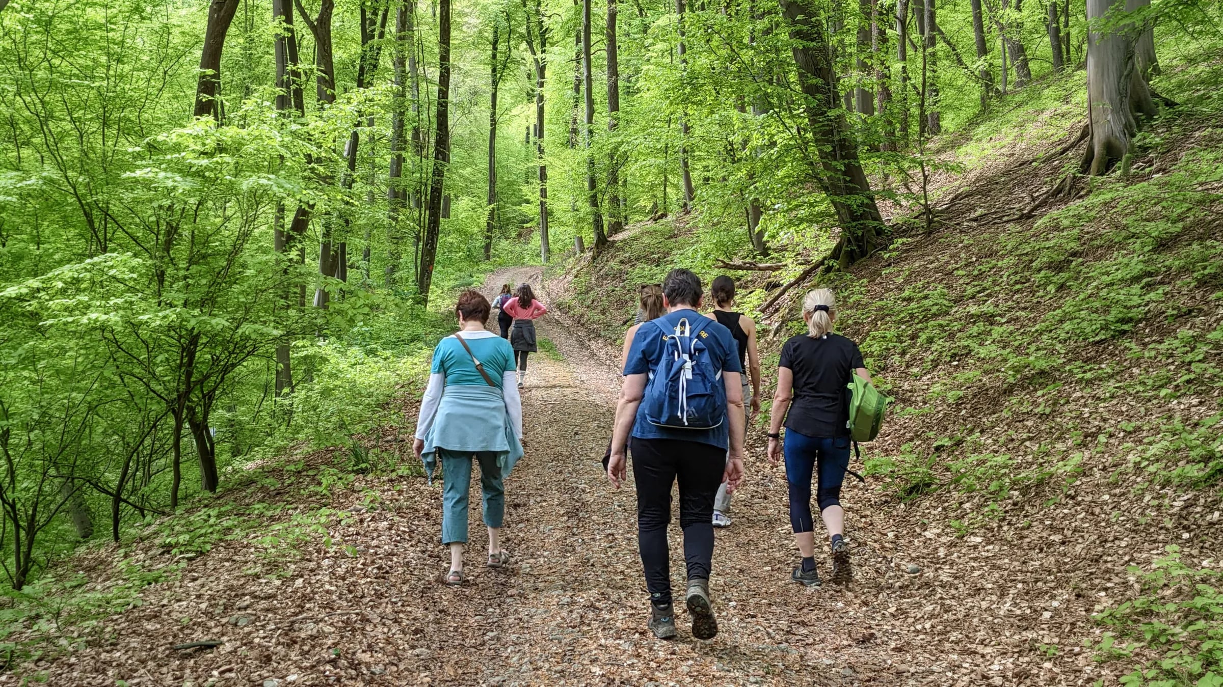 Groupe de personnes marchant sur un sentier forestier verdoyant, en pleine retraite yoga.