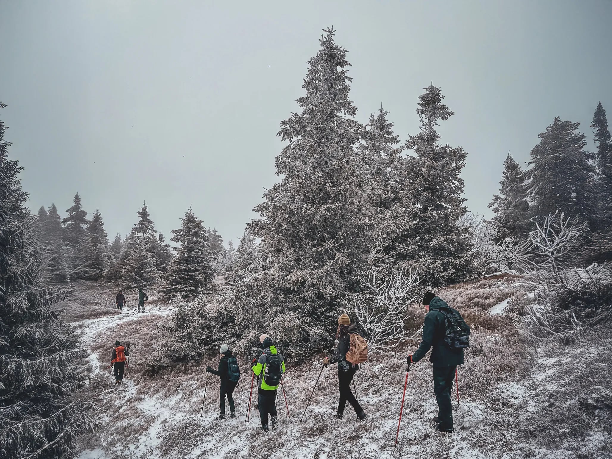 Een groep wandelaars op sneeuwschoenen door het majestueuze besneeuwde landschap van de Vogezen.