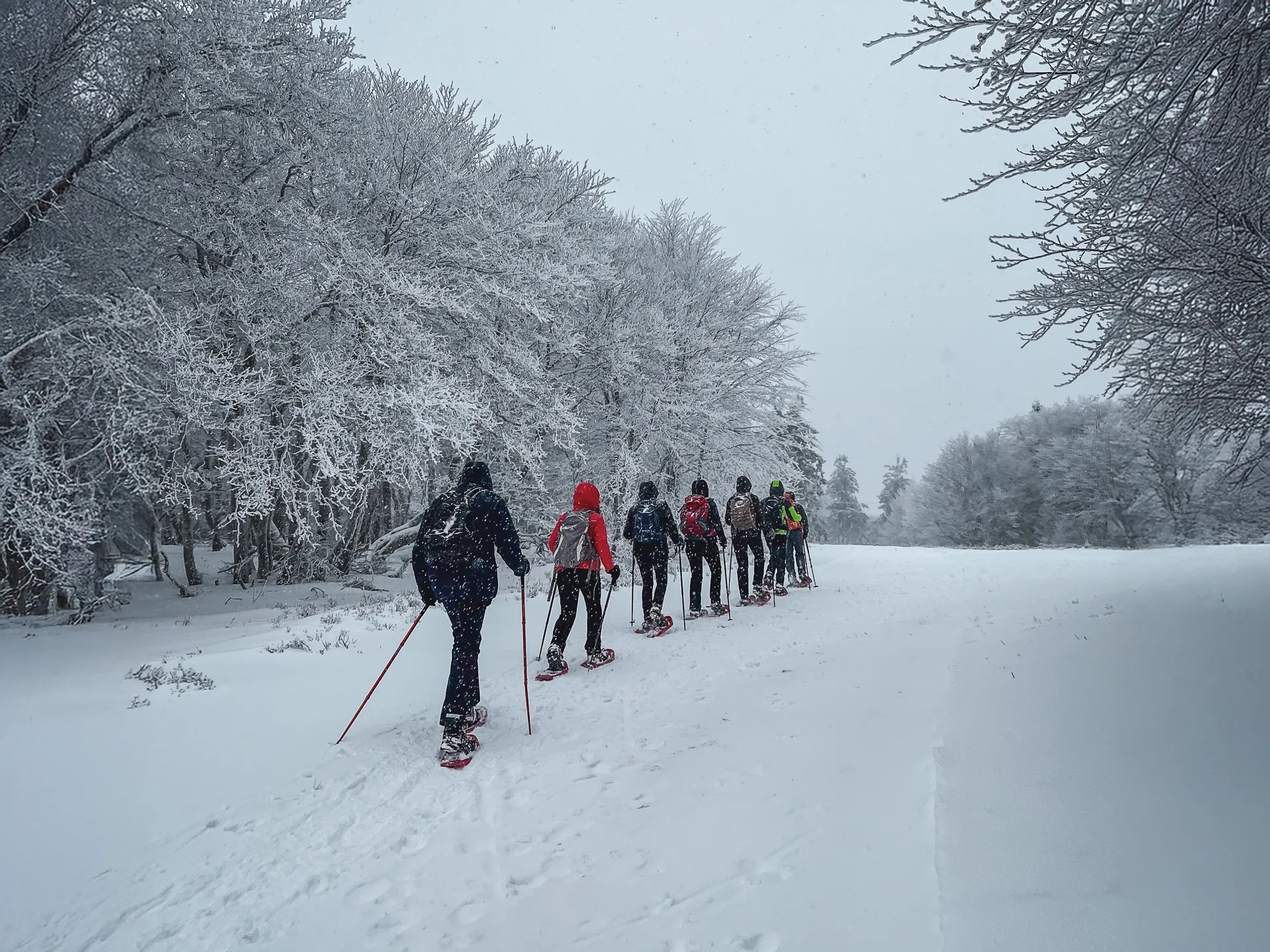 Een besneeuwd houten Berghut met panoramisch uitzicht op de Vogezen, een uitnodiging om er even helemaal uit te zijn.