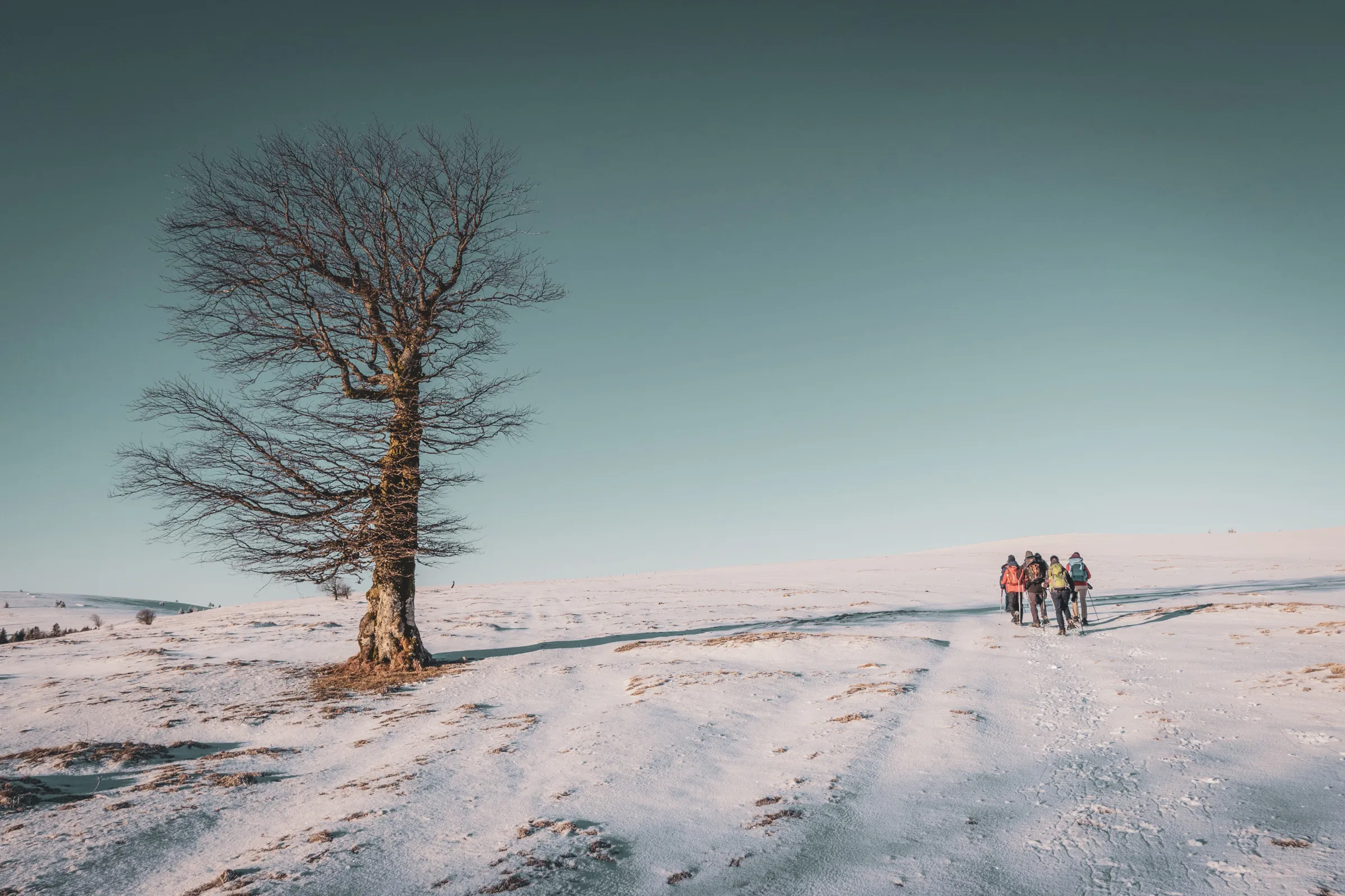 Groupe en raquettes s'avançant dans un paysage enneigé, sous un ciel clair et serein.