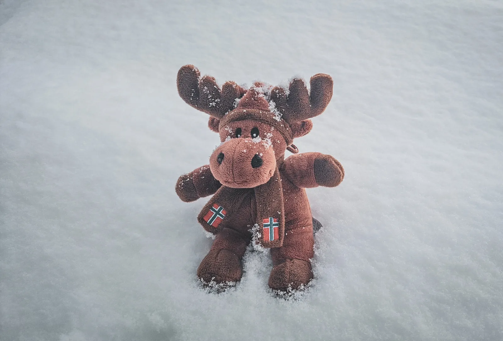 Un adorable petit élan en peluche, paré d'une écharpe, posé sur un lit de neige scintillante.