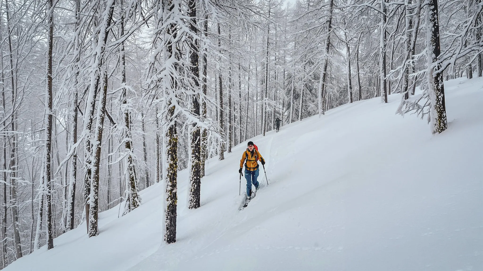 Un skieur s'aventure dans une forêt enneigée, offrant un paysage magique et apaisant.