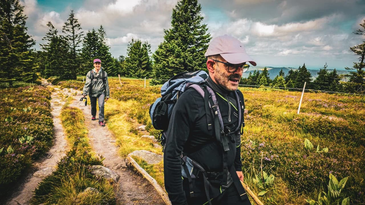 Two hikers on a green trail in the Vosges, surrounded by majestic fir trees.