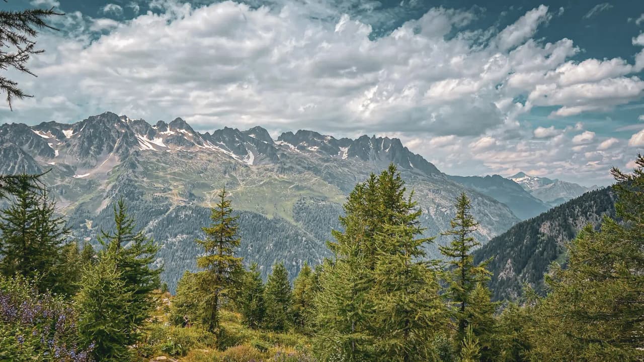 Magnificent Alpine scenery with majestic peaks and lush green forests. Escape guaranteed!