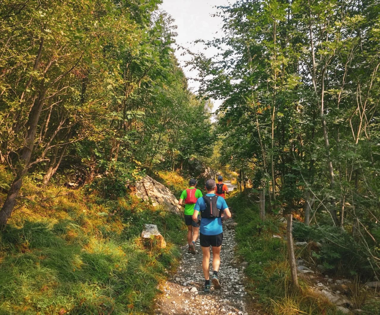 Coureurs sur un sentier boisé, entourés de verdure et de nature paisible, dans les Pyrénées.
