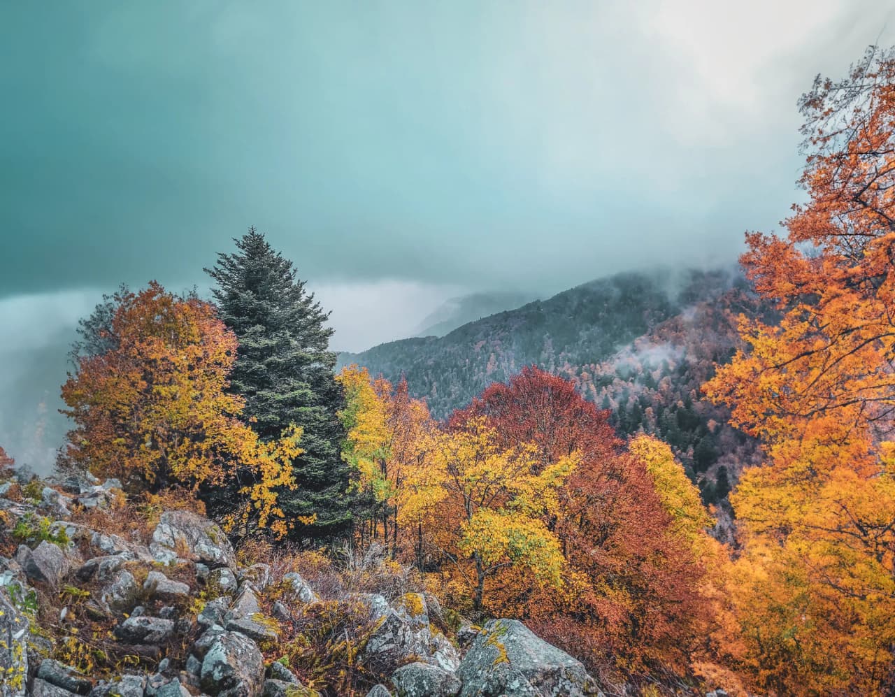 Paysage automnal vibrant des Vosges, arbres colorés et montagnes embrumées invitant à l'évasion.