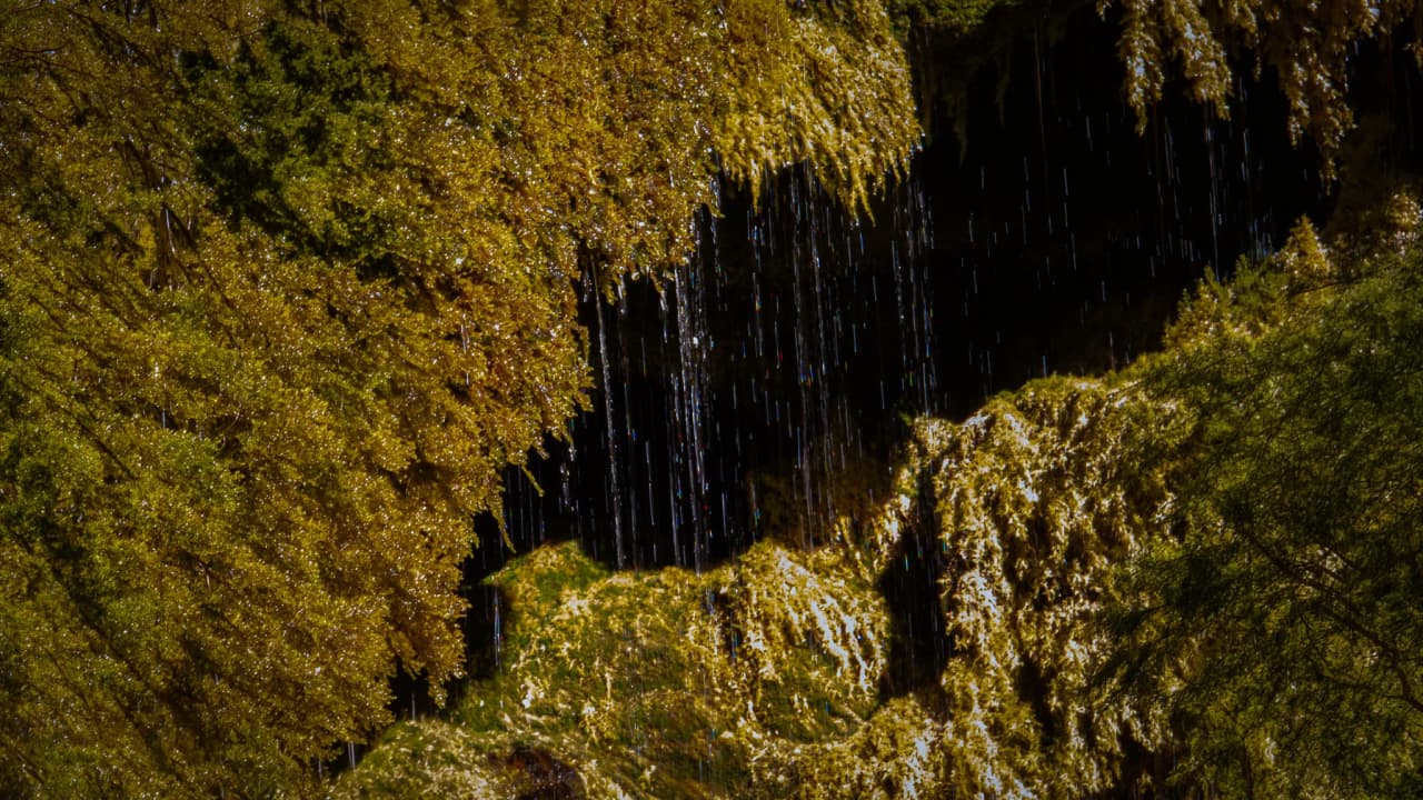 Een glinsterende waterval stroomt tussen groene rotswanden door en nodigt uit tot avontuur.