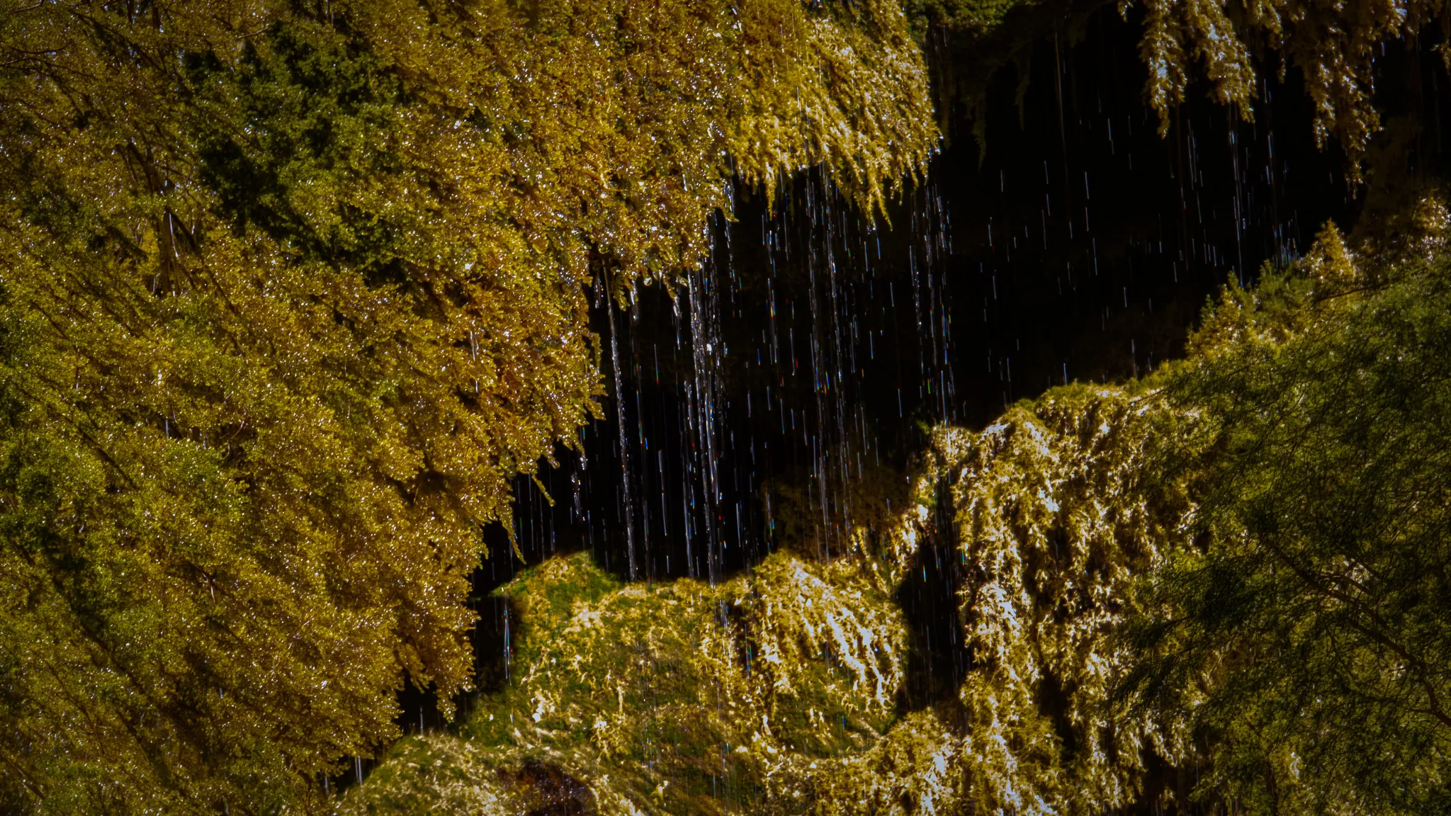 Une cascade d'eau scintillante s'écoule entre des falaises verdoyantes, invitant à l'aventure.