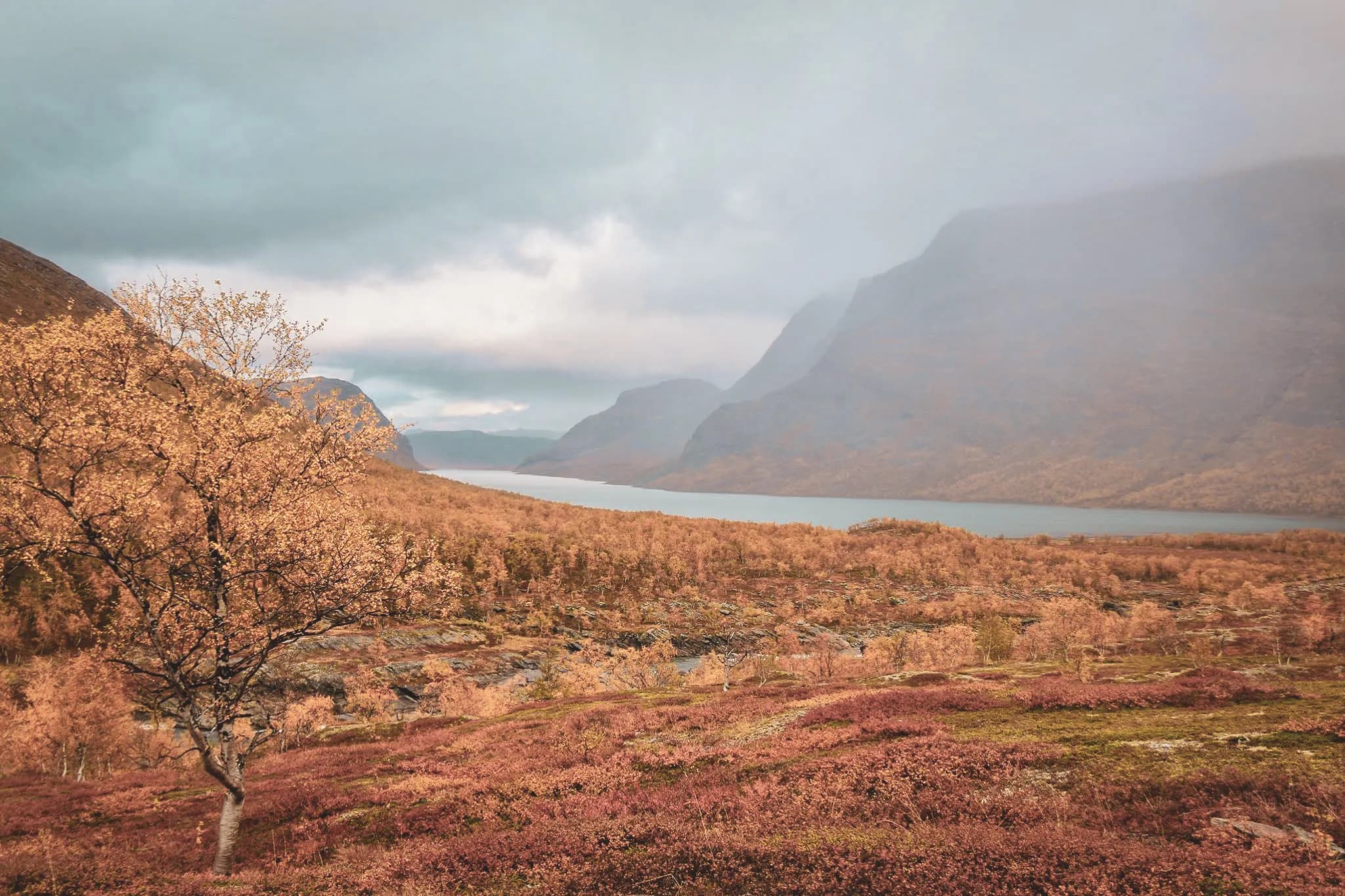 A vast landscape of Swedish Lapland, golden valleys and lakes under cloudy skies, an invitation to adventure.