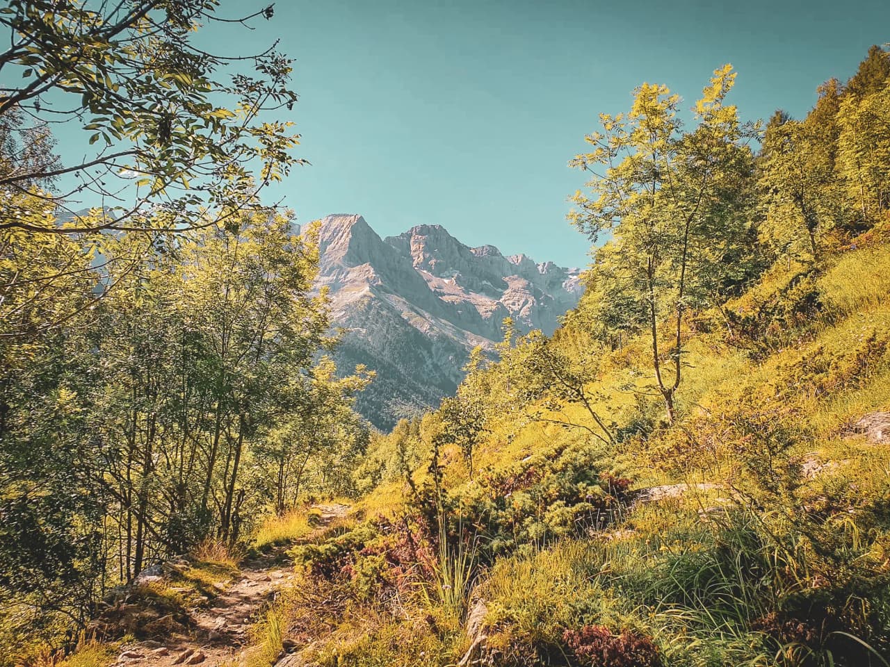 Un sentier de randonnée escarpé serpente à travers une pente verdoyante et boisée, offrant une vue imprenable sur des sommets rocheux et majestueux sous un ciel clair.