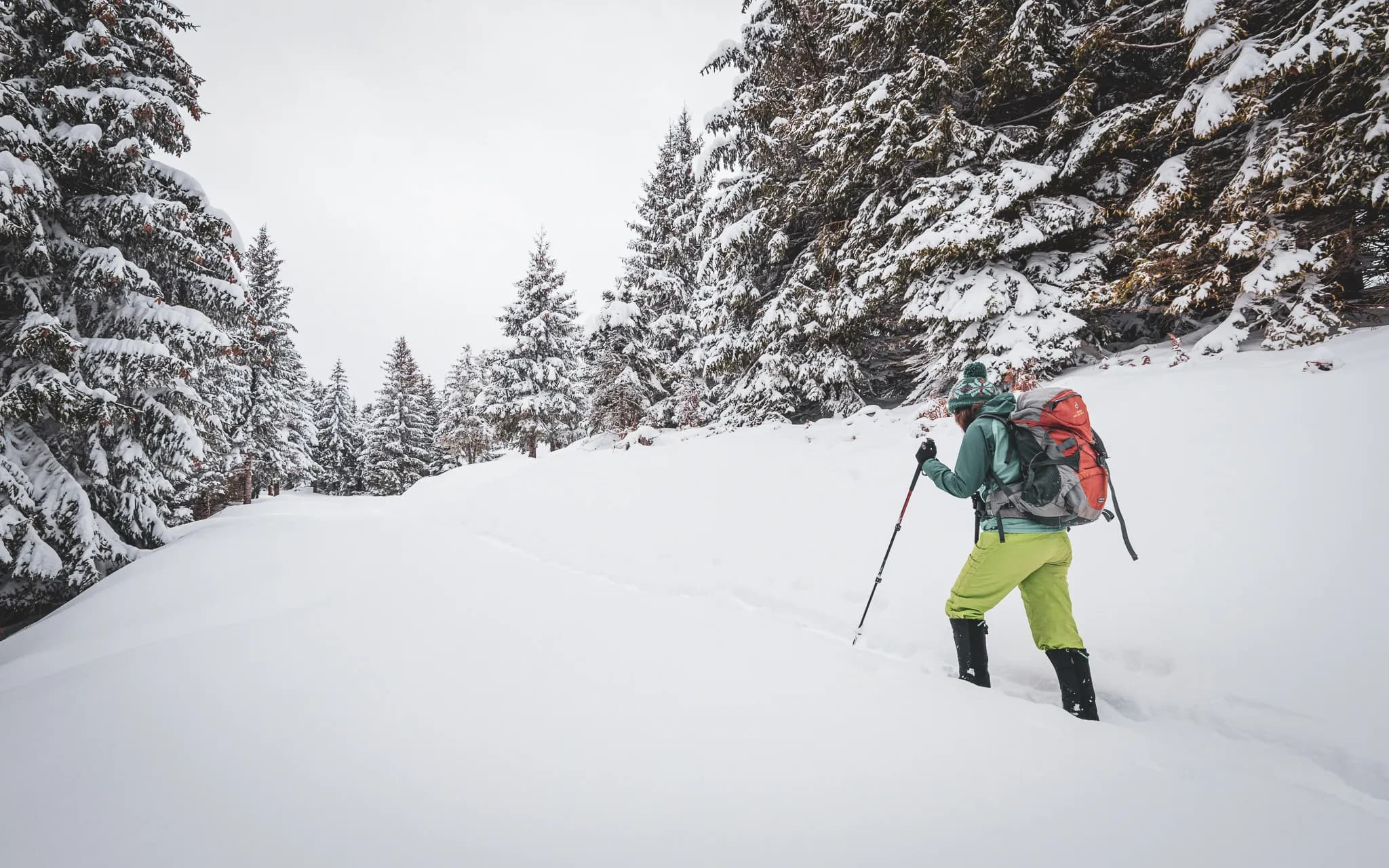 A snowshoe hike through a snow-covered landscape, surrounded by majestic forests.