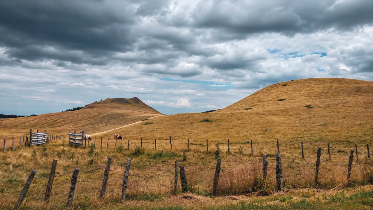 Paysages vallonnés dorés sous un ciel nuageux, invitant à l'aventure dans le Massif Central.