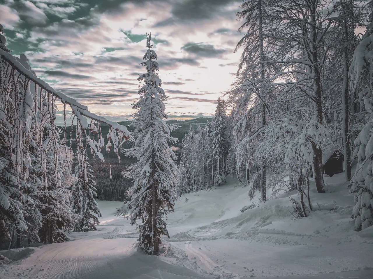 Paysage hivernal enchanteur des Alpes juliennes, avec des arbres couverts de neige et un ciel dramatique.